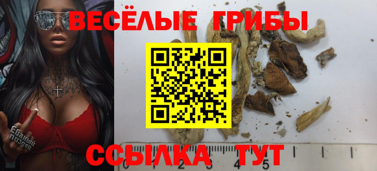 Псилоцибиновые грибы Psilocybine cubensis  Галлюциногенные грибы Psilocybe  Похвистнево  как найти наркотики  Вход с VPN 